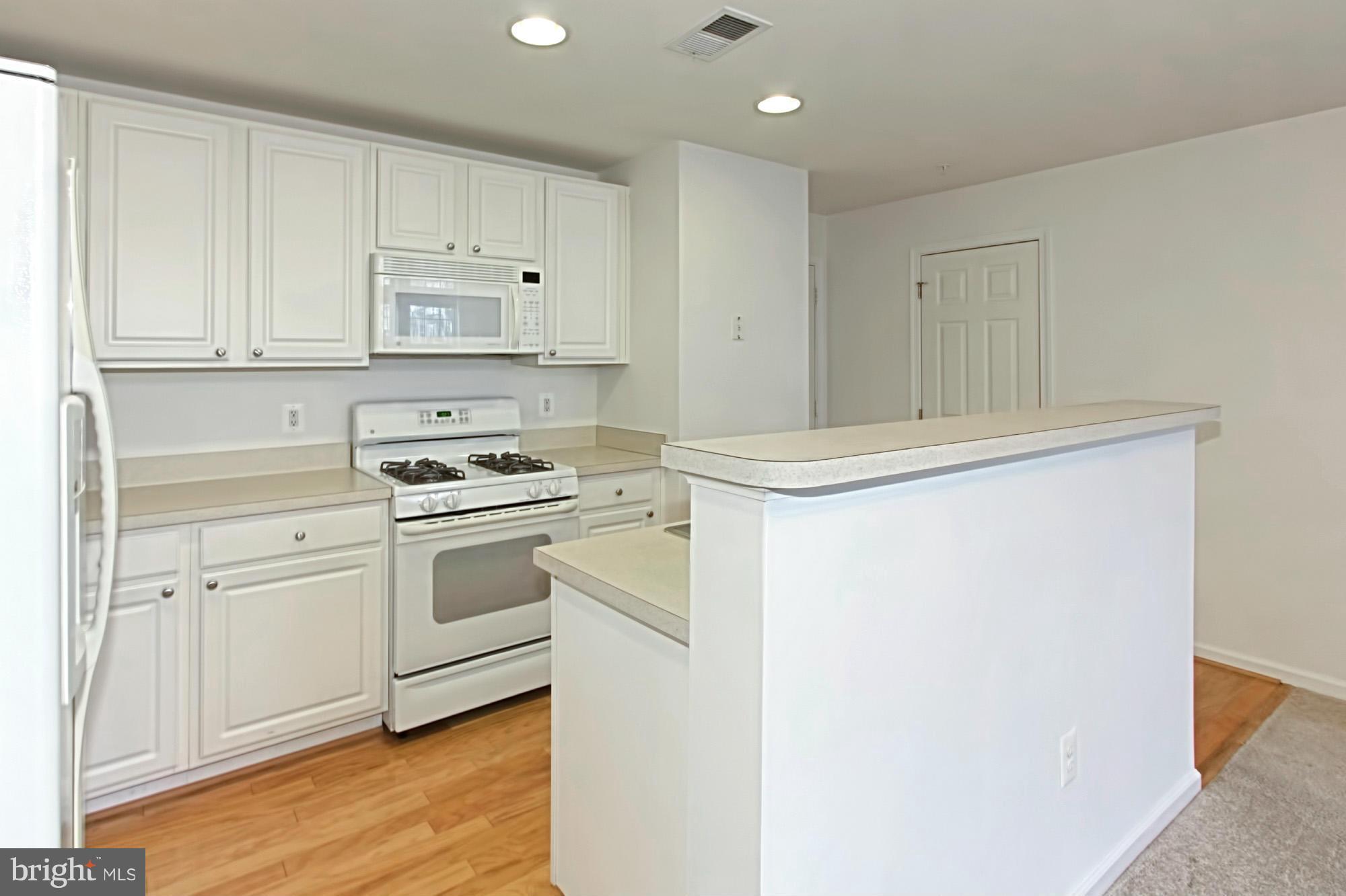 42240 Black Rock Terrace, Unit 1003 Stone Ridge, VA 20105 - Photo 18 of 30 Kitchen