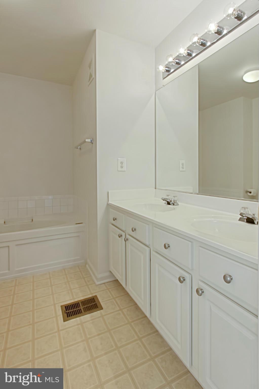 42240 Black Rock Terrace, Unit 1003 Stone Ridge, VA 20105 - Photo 23 of 30 Bath (Master)