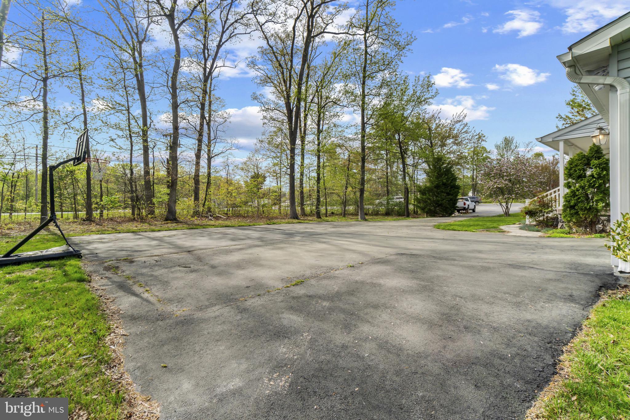 1609 Turkey Point Road Essex, MD 21221 - Photo 4 of 41 a view of road with large trees