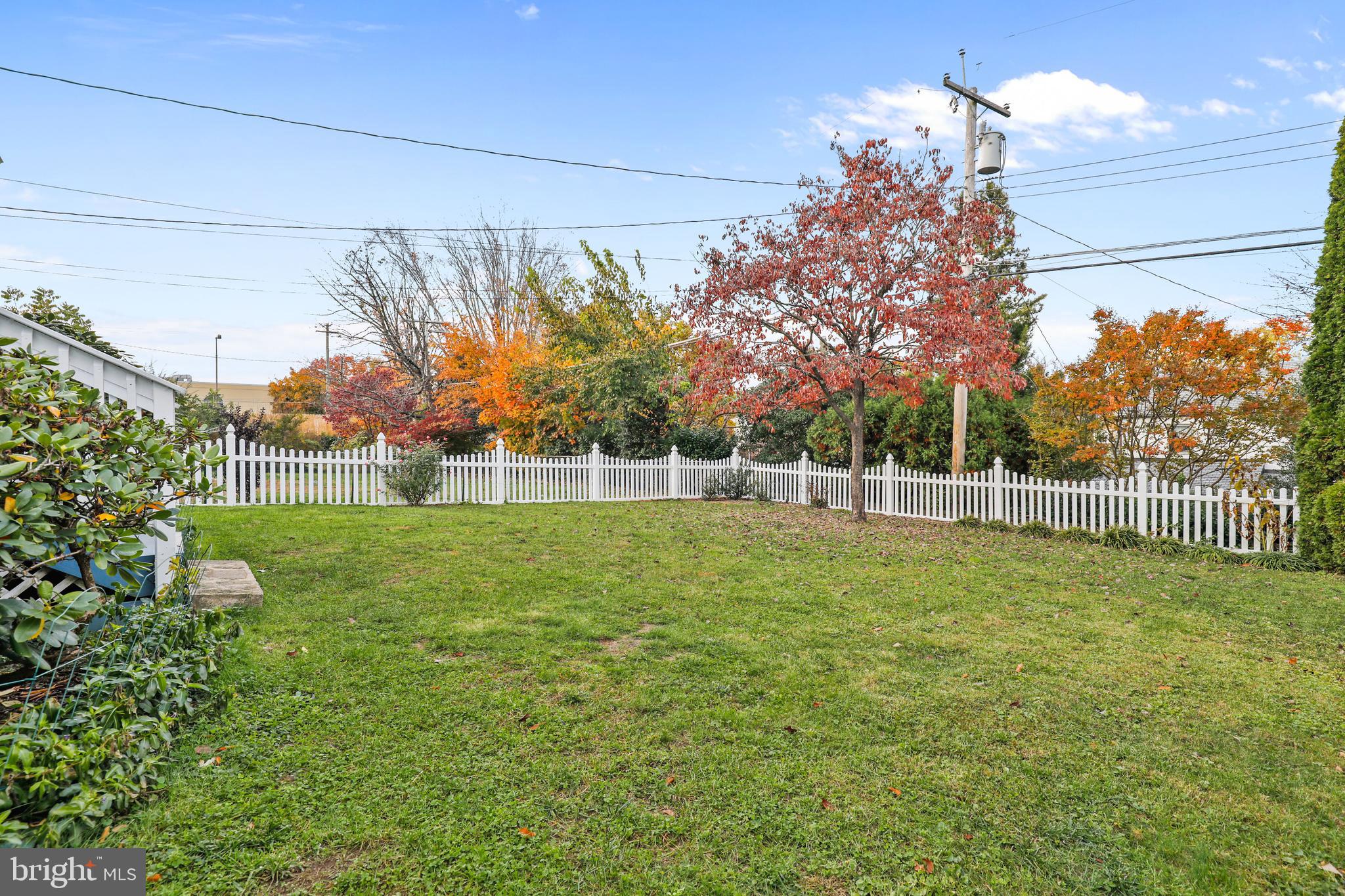508 Windwood Road Baltimore, MD 21212 - Photo 43 of 48 Spacious level back yard