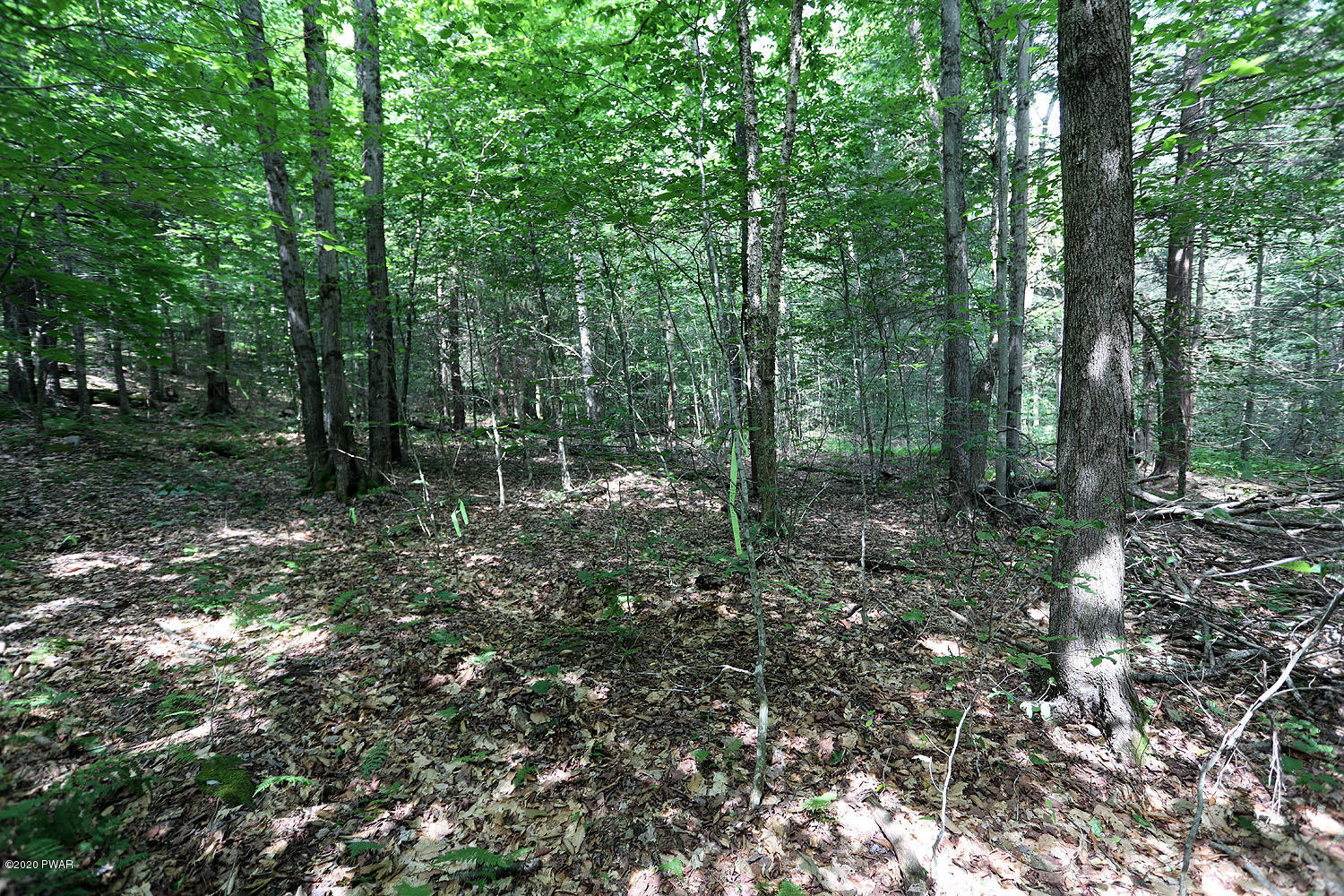 0 Minckler Mountain Road Equinunk, PA 18417 - Photo 35 of 39