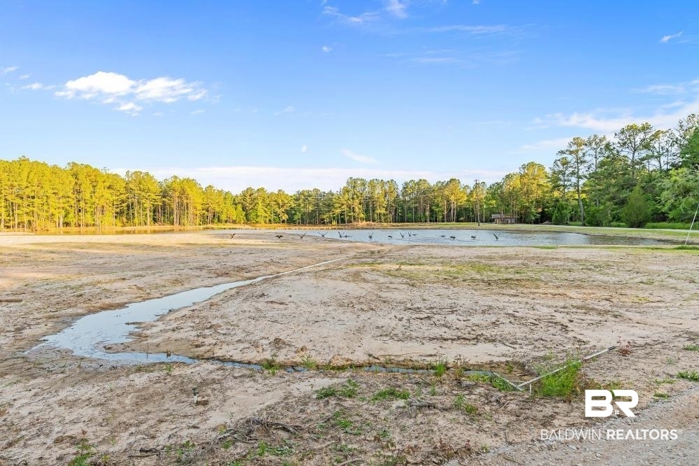 11100 Kali Oka Road Eight Mile, AL 36613 - Photo 7 of 49