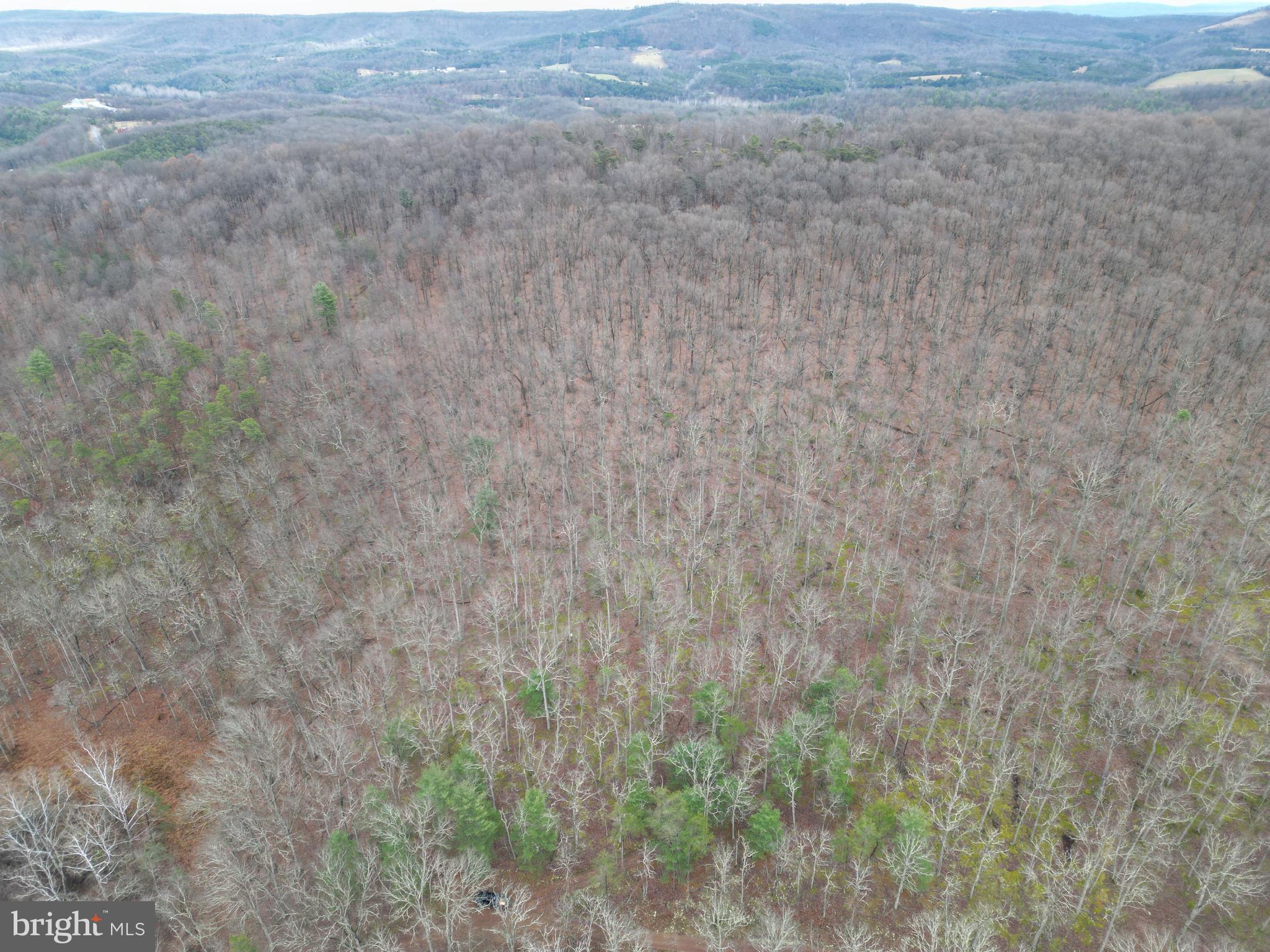 Lot 70-71 Mill Mountain Road Romney, WV 26757 - Photo 52 of 52