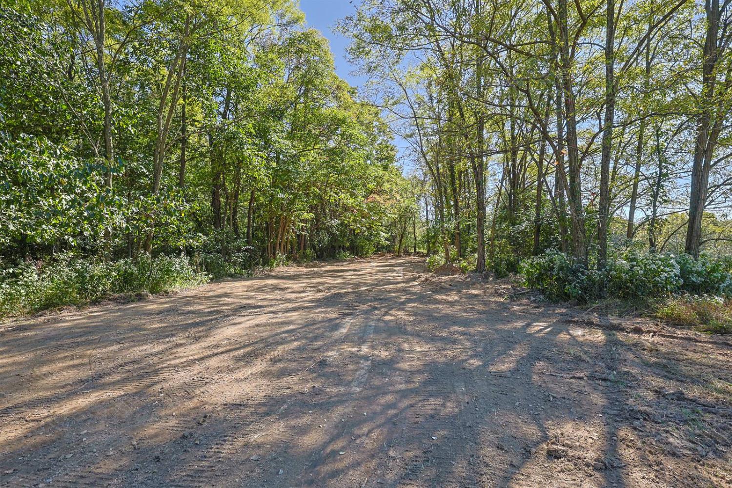 22078 Ester Ridge Road Sunman, IN 47041 - Photo 57 of 58 Gallery Image 57