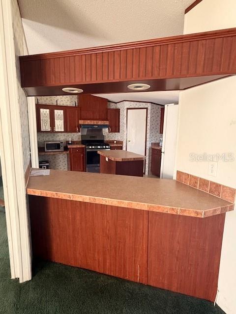 16636 Southwest 45th Street Ocala, FL 34481 - Photo 11 of 21