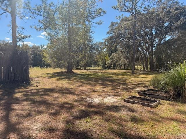 16636 Southwest 45th Street Ocala, FL 34481 - Photo 18 of 21 a view of pool view with trees