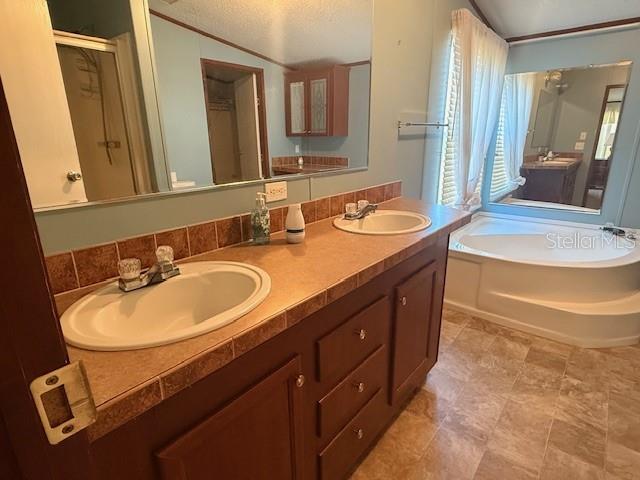 16636 Southwest 45th Street Ocala, FL 34481 - Photo 8 of 21 a bathroom with a double vanity sink and a mirror