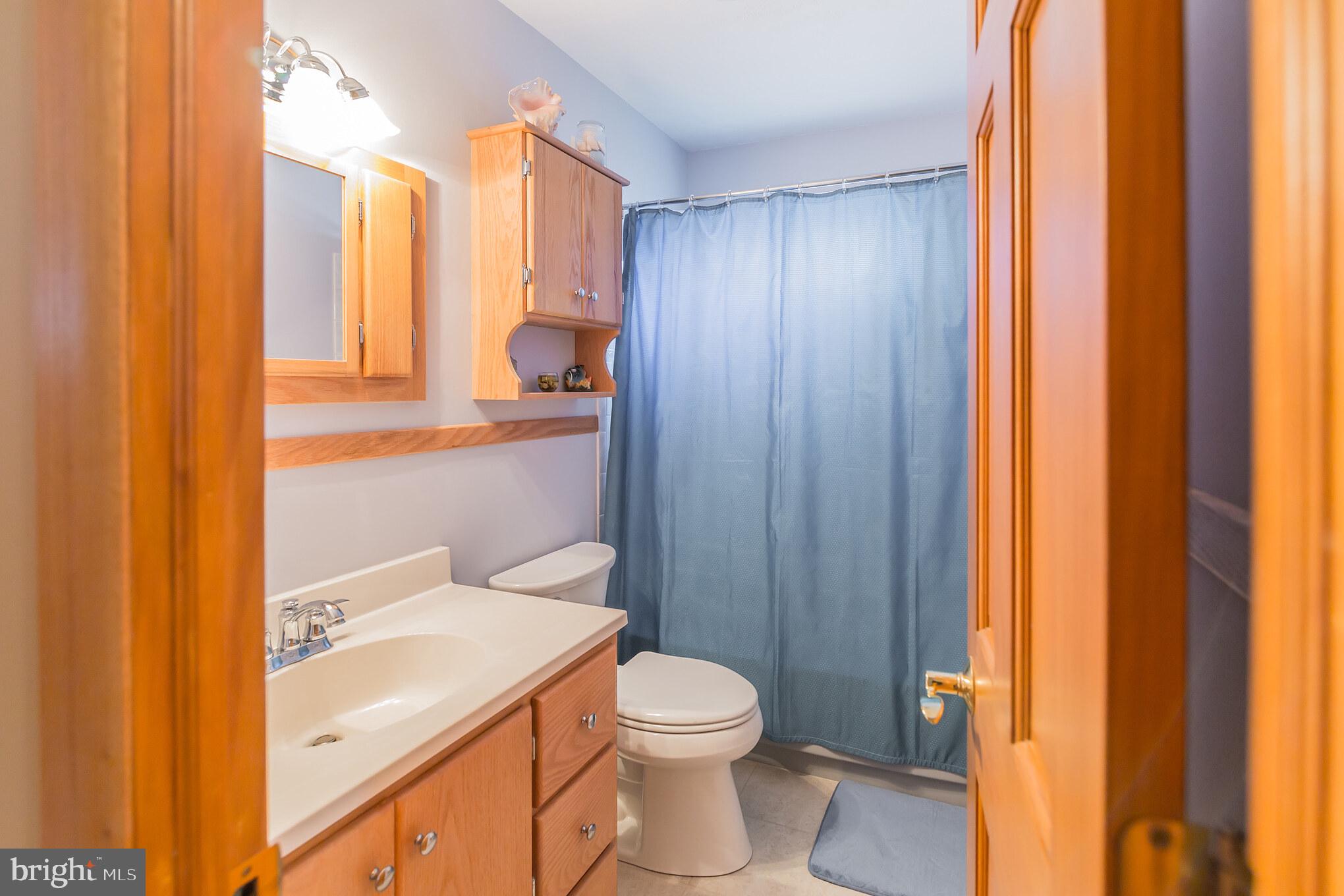 14 Mill Bend Road Hamilton, NJ 08690 - Photo 18 of 26 Hall bath custom vanity, mirror & storage cabinet