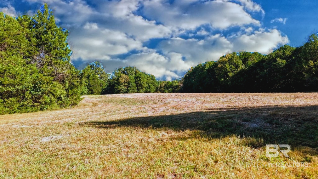 0 Highway 17 Millry, AL 36558 - Photo 57 of 73 Gallery Image 57