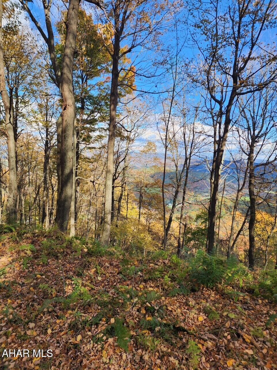Lot 104 Overland Pass Road Altoona, PA 16602 - Photo 3 of 5