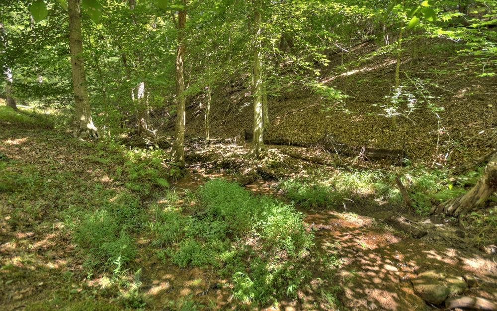 300 Brown Bear Path Blue Ridge, GA 30513 - Photo 48 of 56 Additional View