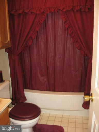 224 Killdeer Road Stephens City, VA 22655 - Photo 11 of 22 Bath (Master)
