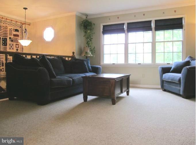 224 Killdeer Road Stephens City, VA 22655 - Photo 12 of 22 Living Room
