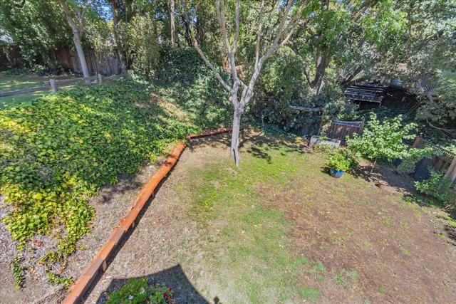 a view of a yard with plants