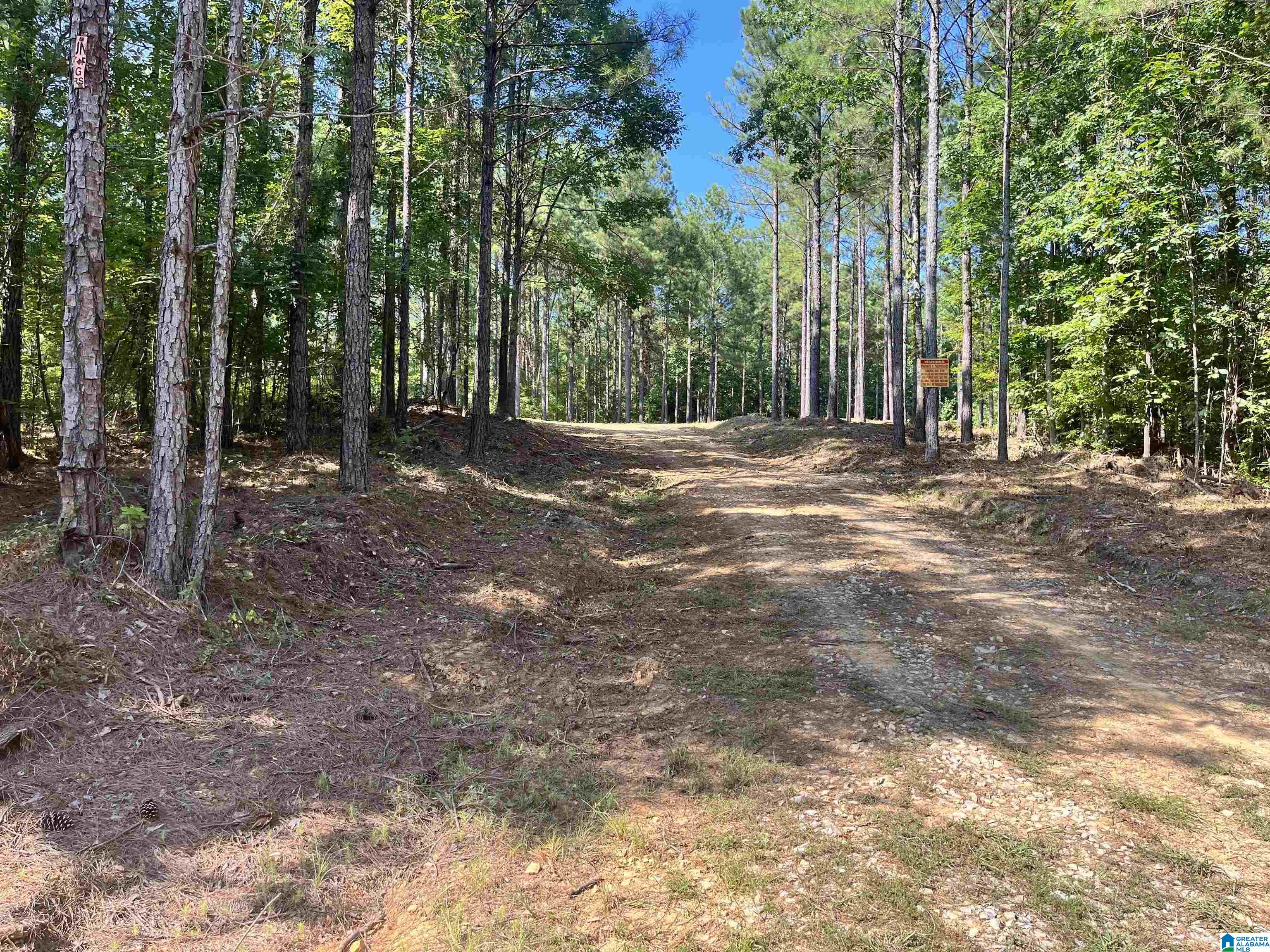 780 Sweet Apple Road, Unit TRACT 4 Pell City, AL 35128 - Photo 8 of 8