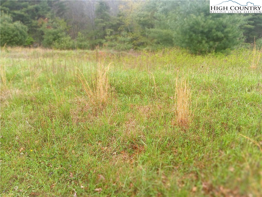 Lot 21 Fox Crest Crumpler, NC 28617 - Photo 2 of 8 a view of a lake view