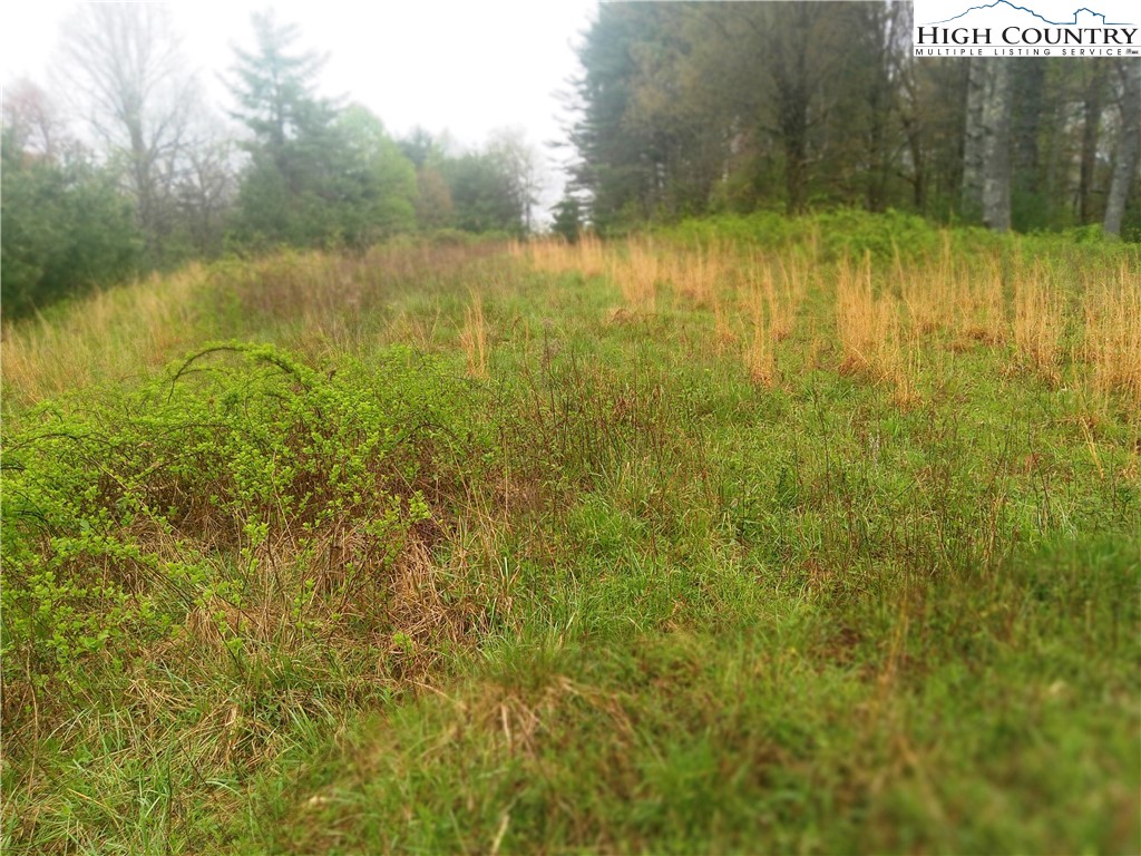 Lot 21 Fox Crest Crumpler, NC 28617 - Photo 3 of 8 a view of lake with a yard