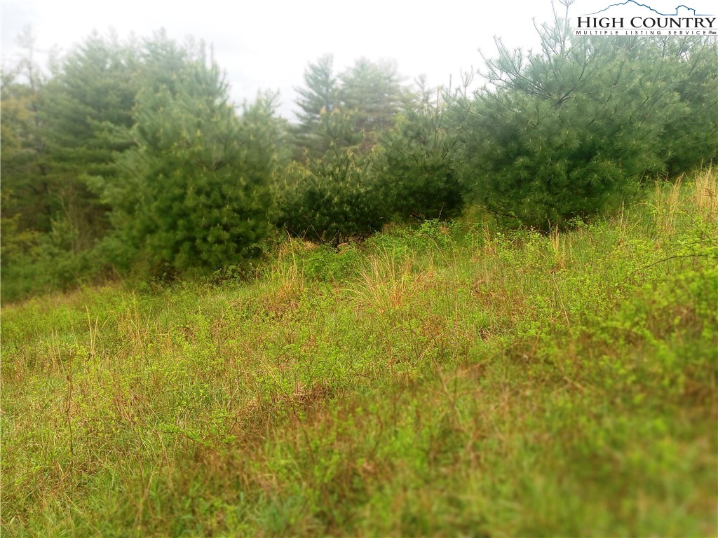 Lot 21 Fox Crest Crumpler, NC 28617 - Photo 4 of 8