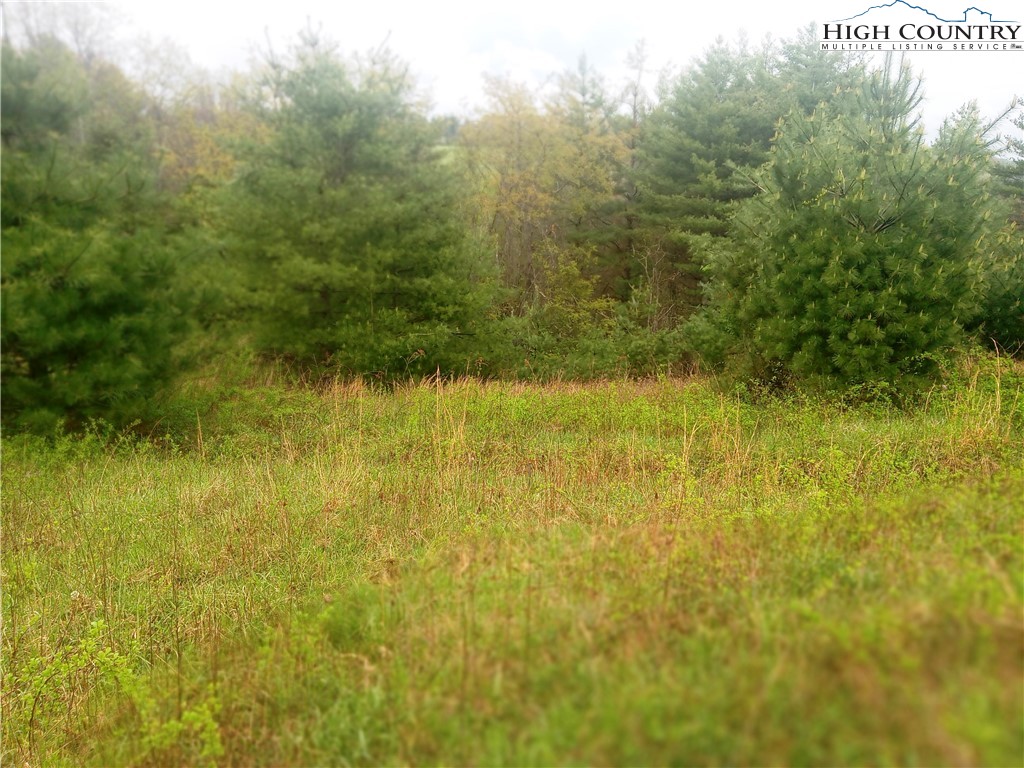 Lot 21 Fox Crest Crumpler, NC 28617 - Photo 5 of 8