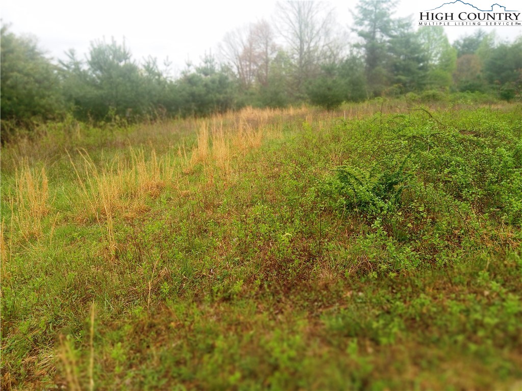 Lot 21 Fox Crest Crumpler, NC 28617 - Photo 6 of 8 a view of lake with green space