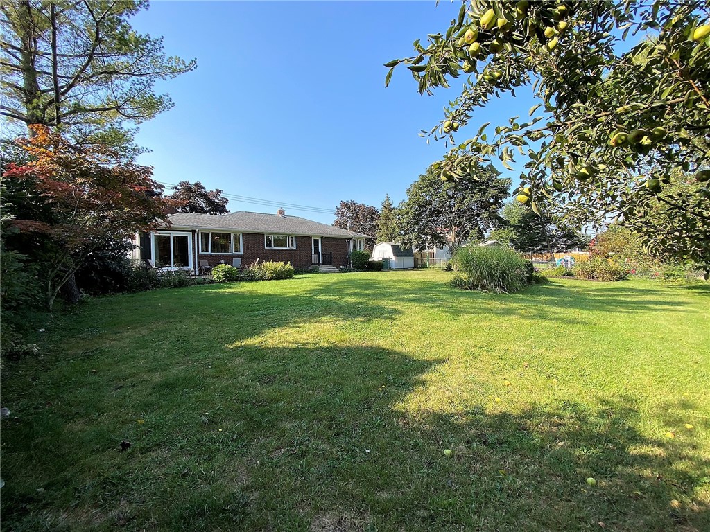 1560 Westfall Road Brighton, NY 14618 - Photo 37 of 40 Watch the deer stroll by the fruit trees in the ba