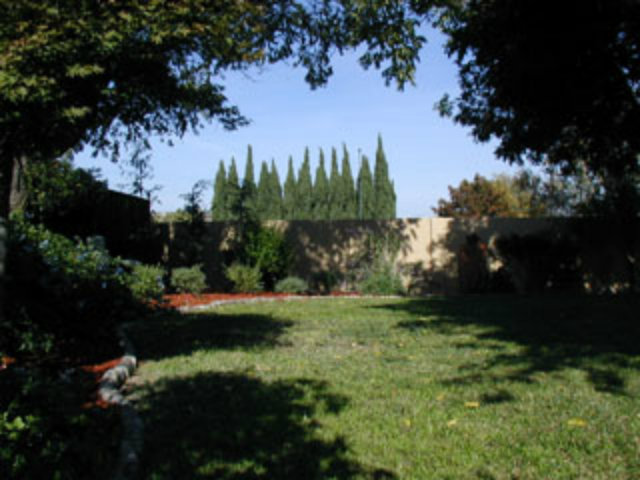 4807 Rue Nice Court San Jose, CA 95136 - Photo 3 of 16 a view of a yard with plants and a fountain