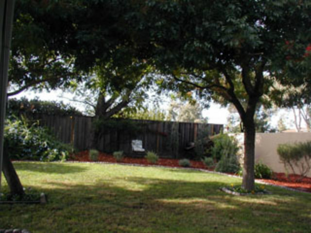 4807 Rue Nice Court San Jose, CA 95136 - Photo 6 of 16 a view of a backyard