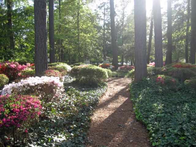 70 Ritter Road East Pinehurst, NC 28374 - Photo 17 of 17 Additional Photo