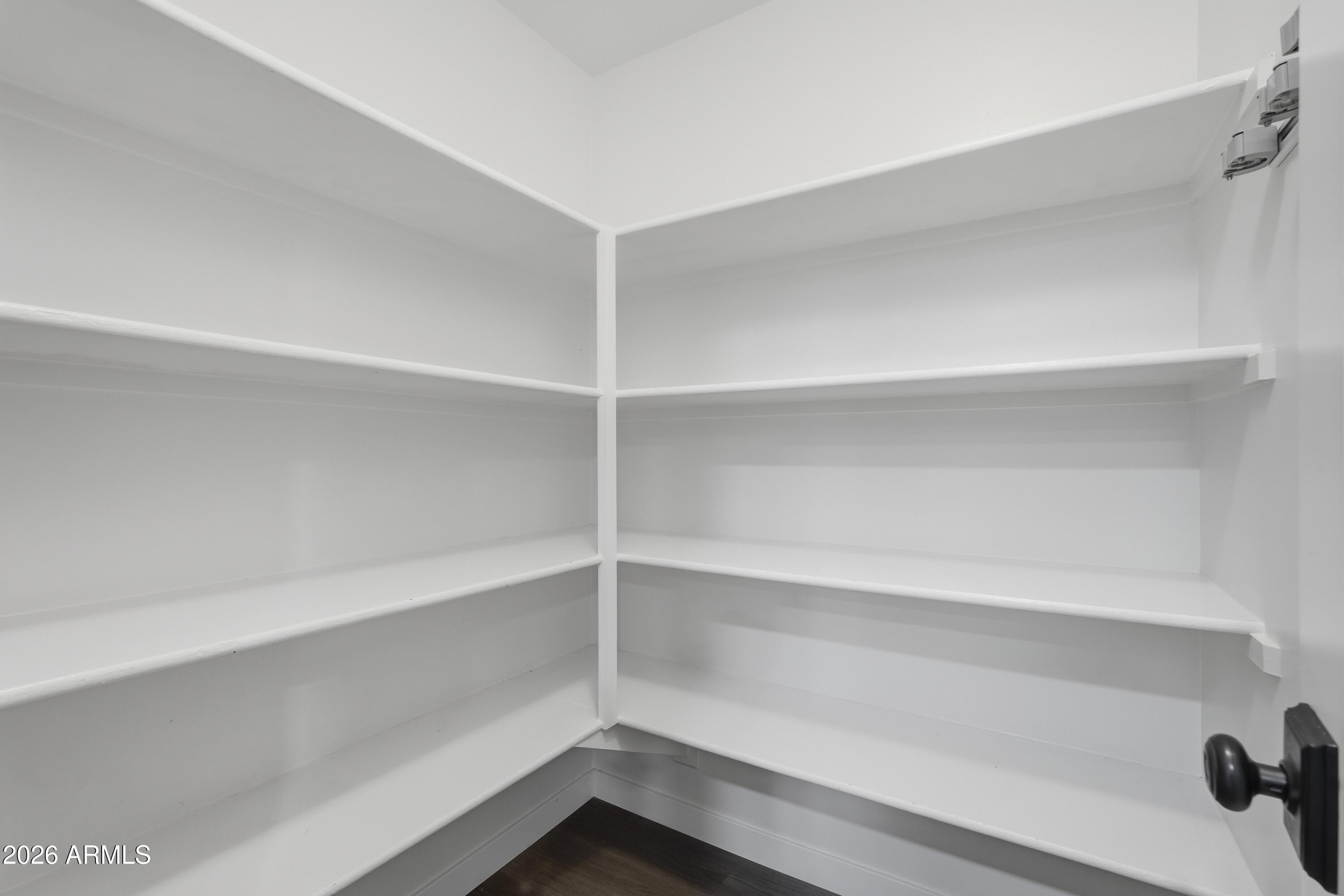 2497 East Ivanhoe Court Gilbert, AZ 85295 - Photo 30 of 57 a view of an empty walk in closet