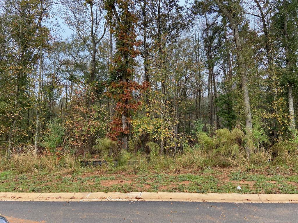 L0-t 14 County Line Road Midland, GA 31820 - Photo 1 of 11 Main View