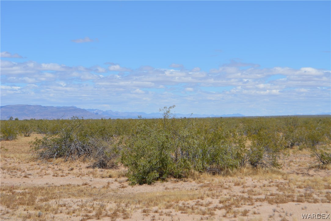 20657 South Gene Autry Road Yucca, AZ 86438 - Photo 17 of 26 Gallery Image 17