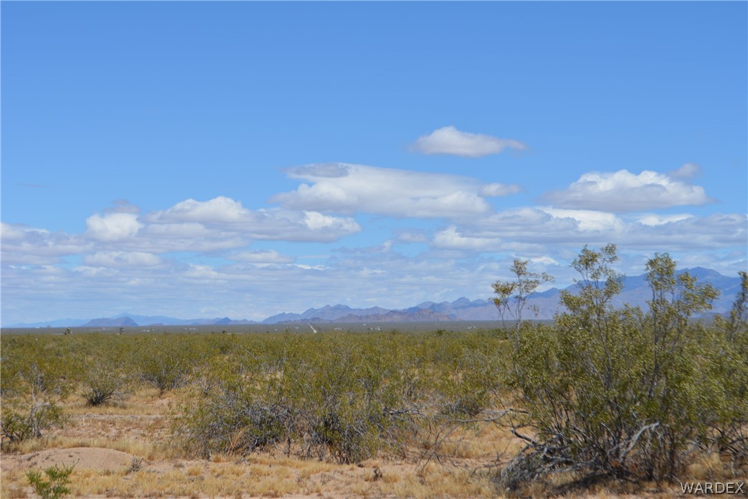 20657 South Gene Autry Road Yucca, AZ 86438 - Photo 18 of 26 Gallery Image 18