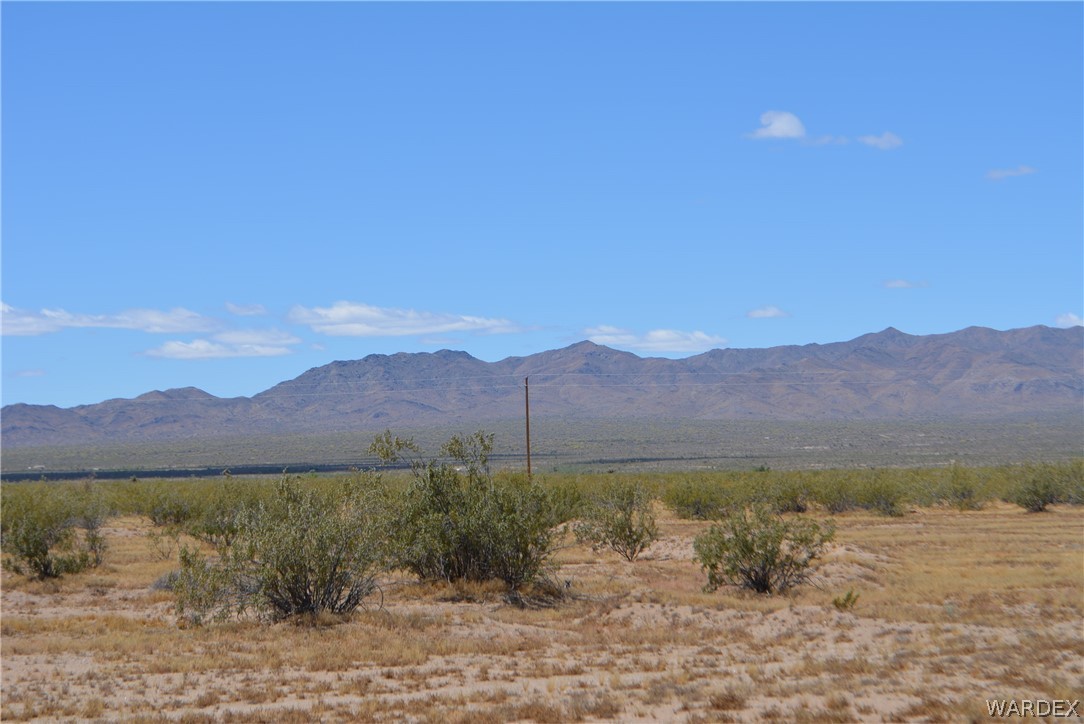 20657 South Gene Autry Road Yucca, AZ 86438 - Photo 8 of 26 Gallery Image 8