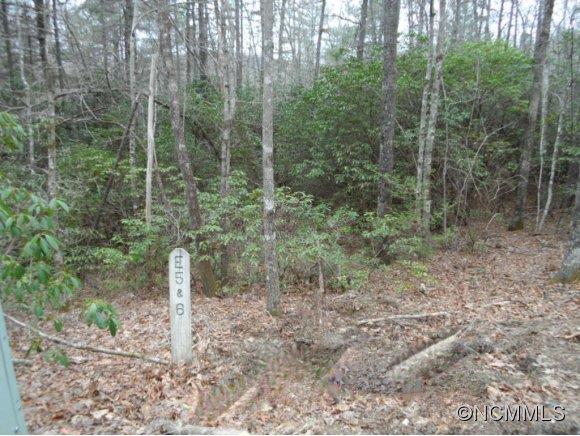 0 Oriole Road, Unit 5 & 6 Brevard, NC 28712 - Photo 10 of 10 Gallery Image 10