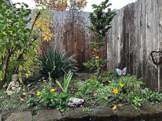 2230 Cleveland Street Eugene, OR 97405 - Photo 8 of 14