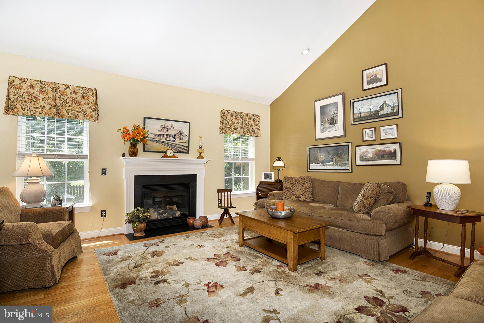 73 Devalinder Drive Newark, DE 19702 - Photo 12 of 28 Great Room has Gas Fireplace
