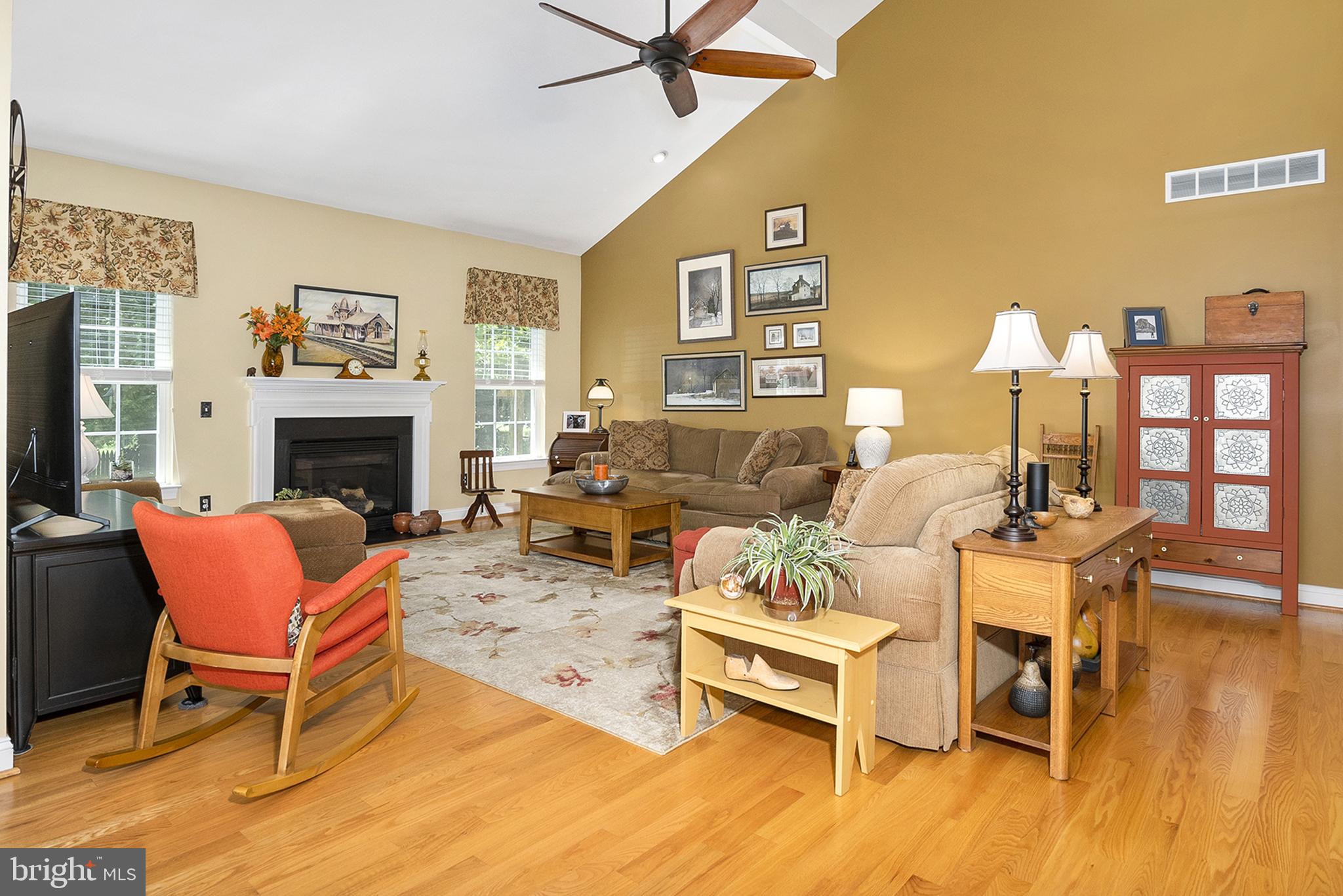 73 Devalinder Drive Newark, DE 19702 - Photo 10 of 28 Great Room, Vaulted Ceiling