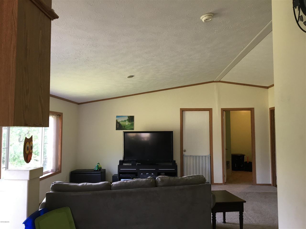 6643 East Filmore Road Walkerville, MI 49459 - Photo 9 of 44