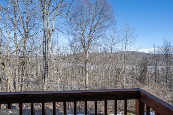 a view of a forest from a balcony