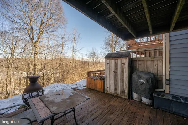 a view of a forest from a yard