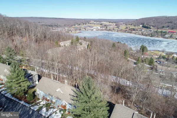 a view of a dry yard with green space