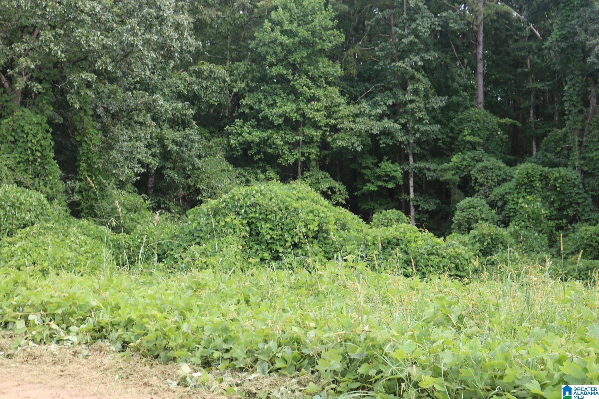 1920 Bruce Shaw Road Adger, AL 35006 - Photo 10 of 15
