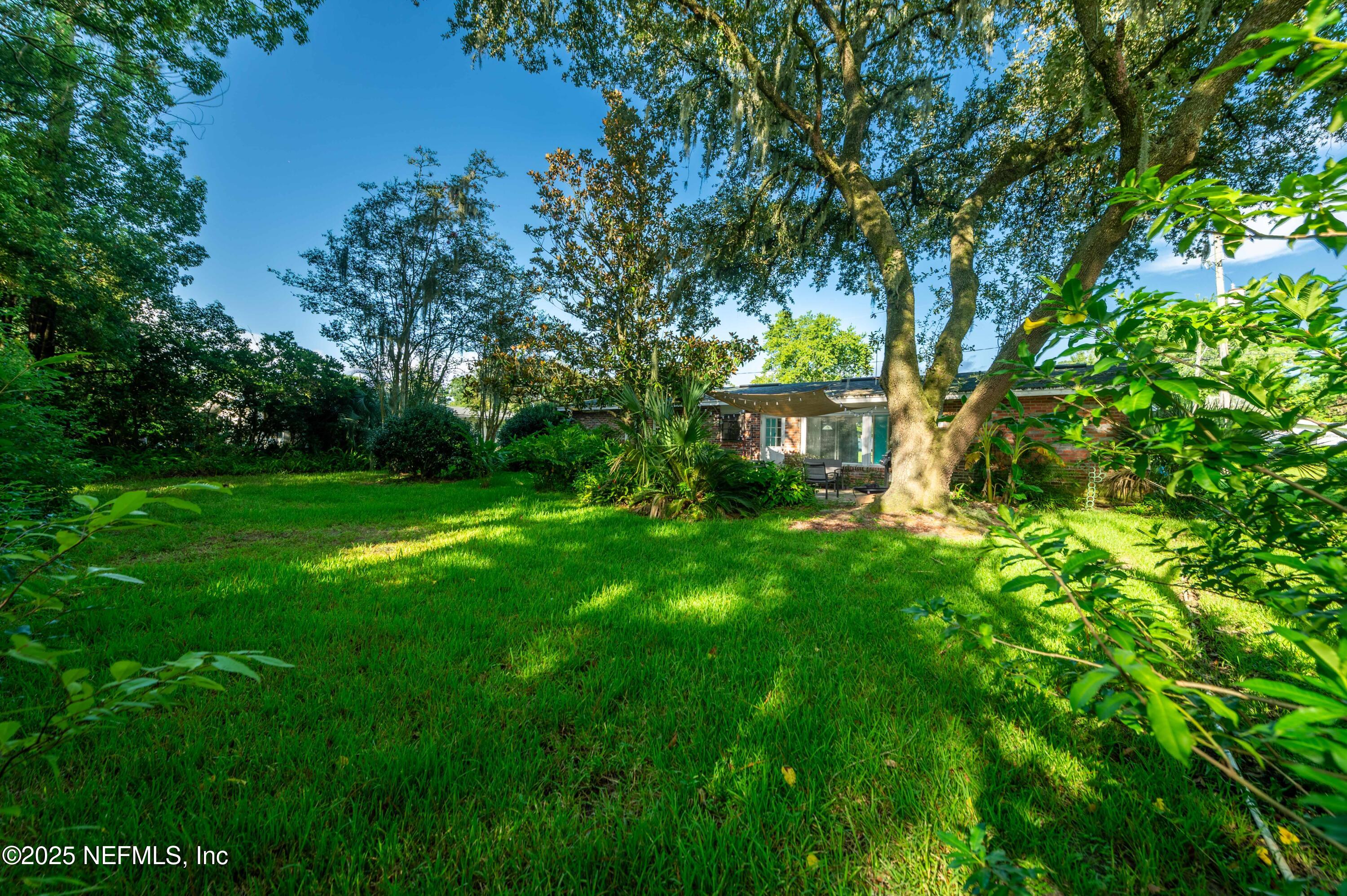 723 Montego Road West Jacksonville, FL 32216 - Photo 5 of 34 2025_08_18 723 Montego Rd W-13-backyard