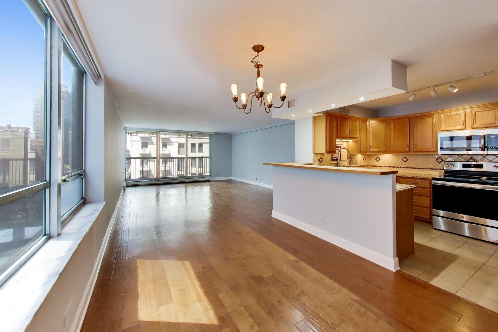 201 East Chestnut Street, Unit 14A Chicago, IL 60611 - Photo 7 of 29