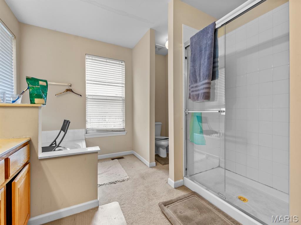 3408 Plainfield Way Shiloh, IL 62221 - Photo 43 of 47