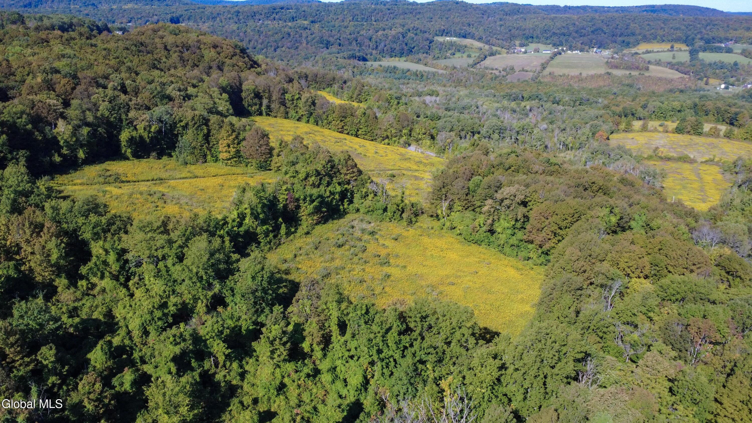 343 County Route 32 Cherry Valley, NY 13320 - Photo 43 of 44 343 CR-32-10