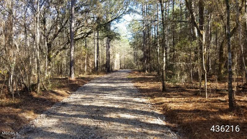 219 Hickory Nut Road Picayune, MS 39466 - Photo 15 of 34 993824A6-CDBE-4B90-A899-3706D8FC90ED