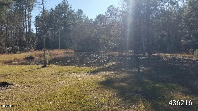 219 Hickory Nut Road Picayune, MS 39466 - Photo 33 of 34 9903EA3C-4574-4801-9FC3-88FD8BC2EC8C