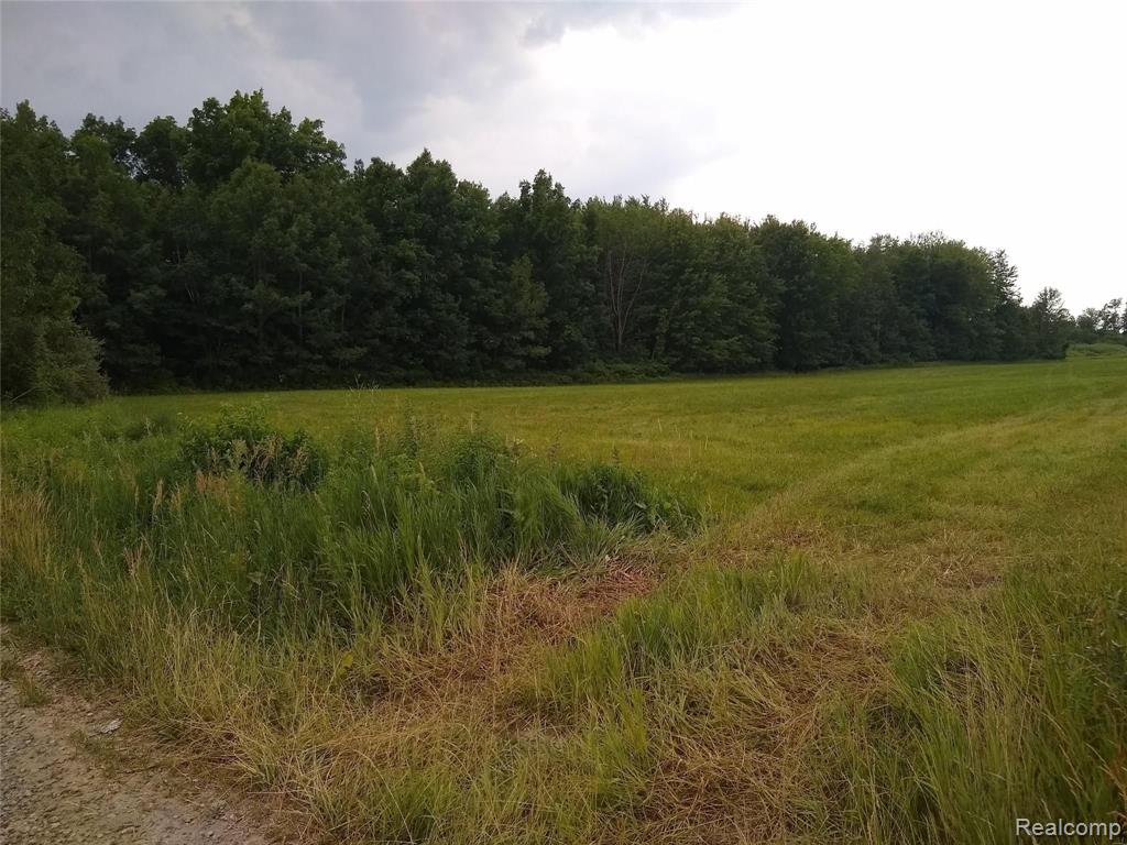 0 Martin Road Capac, MI 48014 - Photo 3 of 5