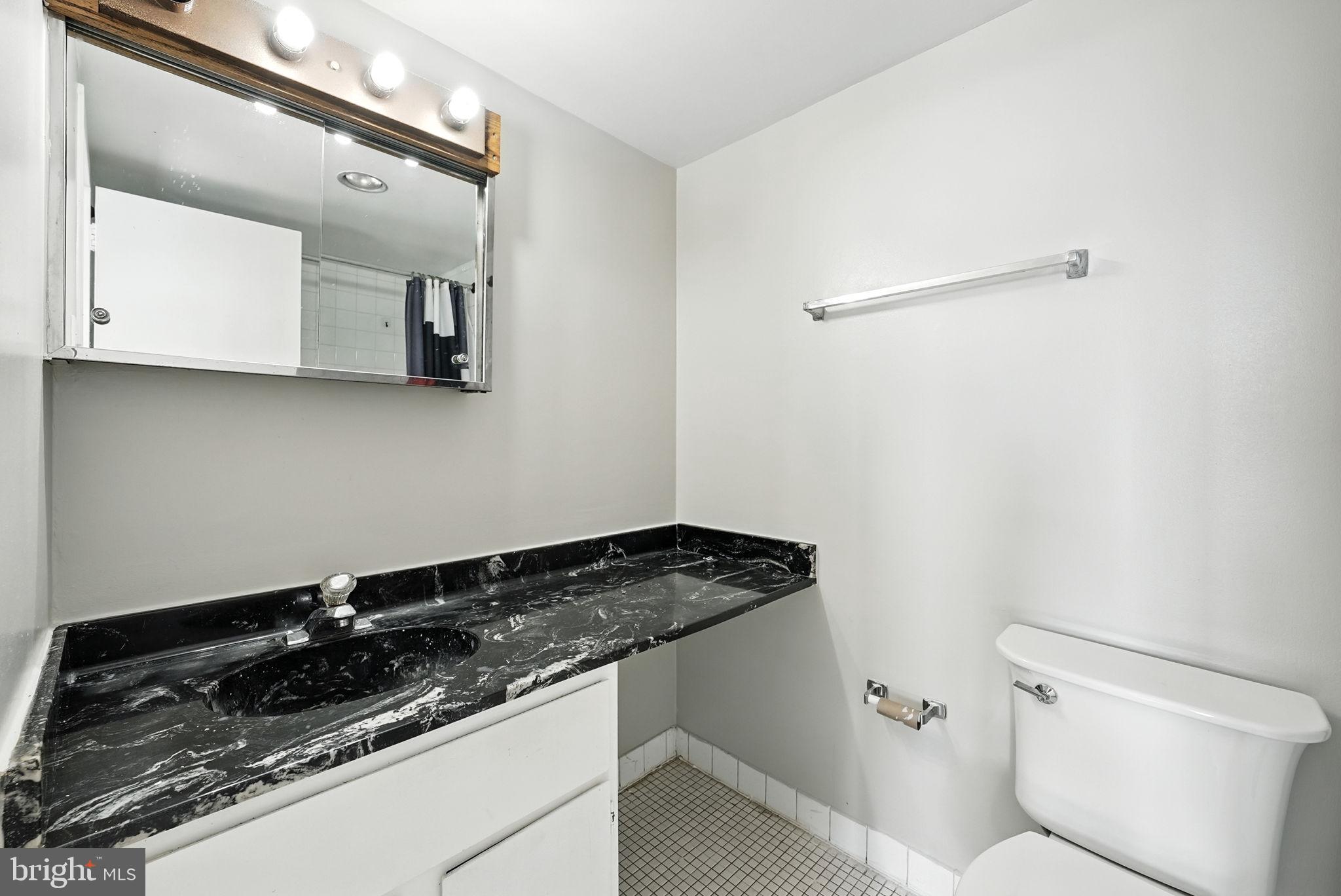 2059 Huntington Avenue, Unit 503 Alexandria, VA 22303 - Photo 15 of 22 a bathroom with a granite countertop sink and a toilet